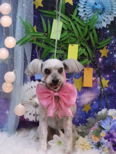 20250709ここちゃん